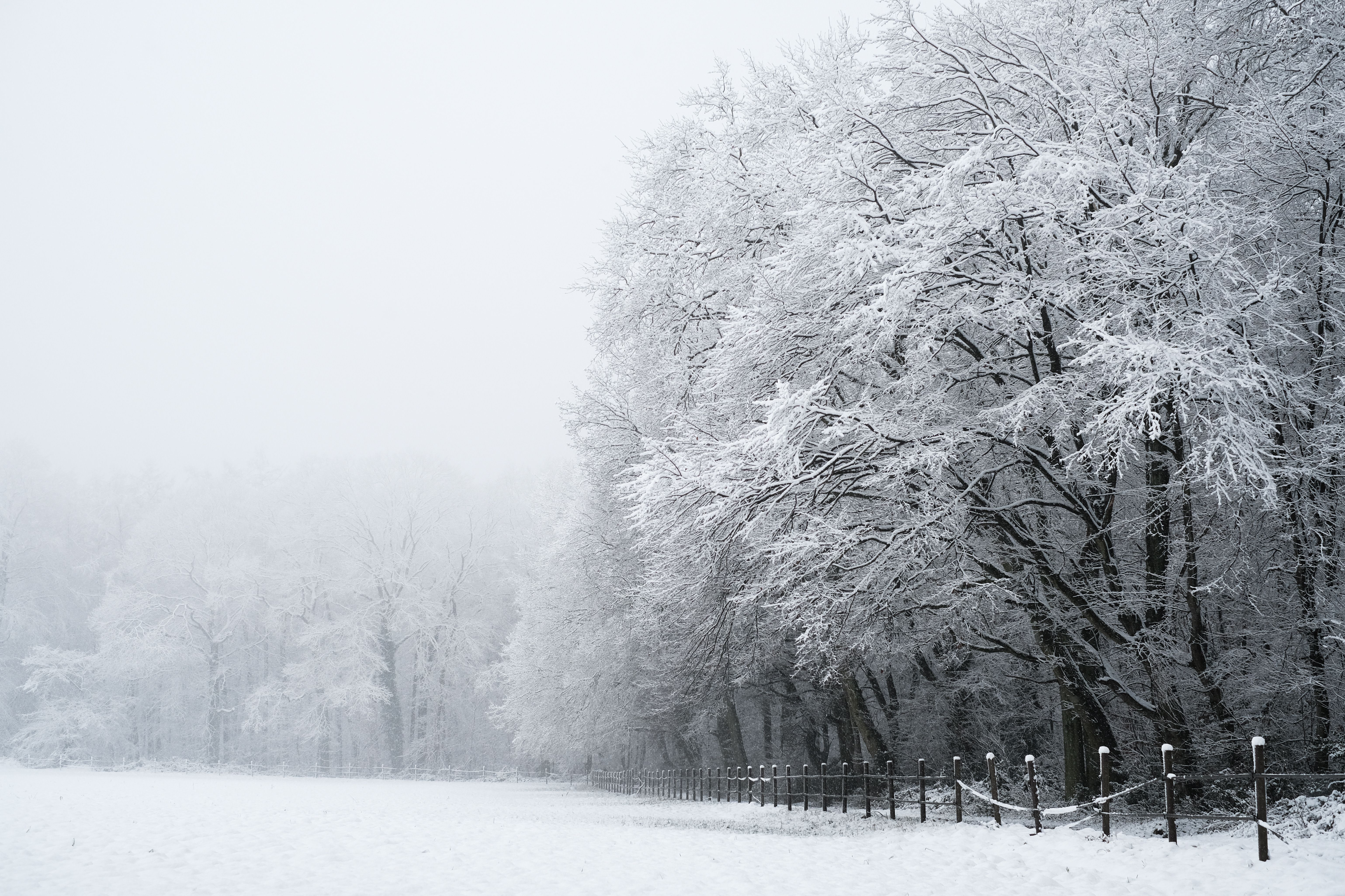 Winter is coming. We know. We know.